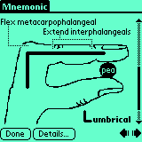Screenshot of viewing diagram